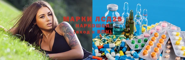 гидропоника Гусиноозёрск