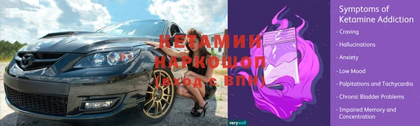 индика Вязьма