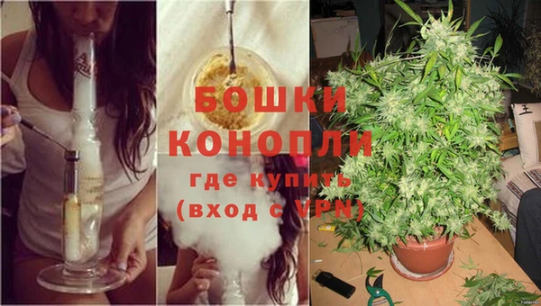 кокс Вяземский