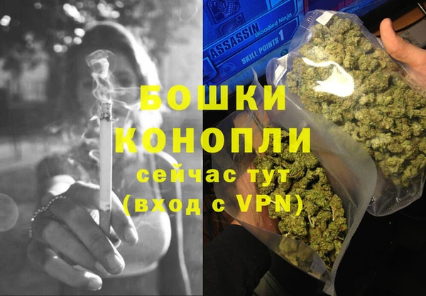 индика Вязьма