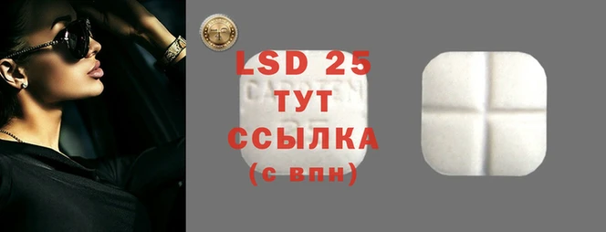 индика Вязьма