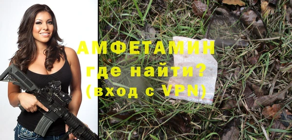 индика Вязьма