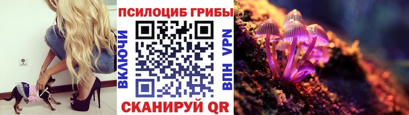 наркотики  Десногорск  дарк нет официальный сайт  Галлюциногенные грибы мицелий  МЕГА ТОР 